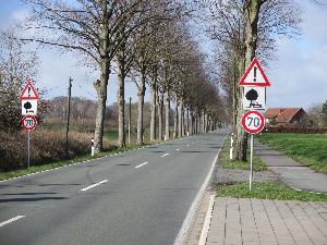 Alle Bäume fallen still, wenn der Autofahrer es so will. Grüne gegen Kahlschlag.